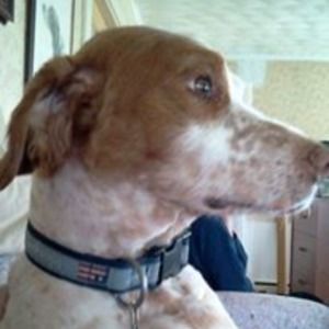 Meet your Posher, Jan